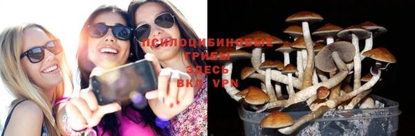 тгк Вязьма