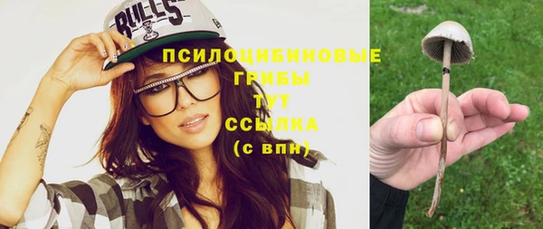 тгк Вязьма